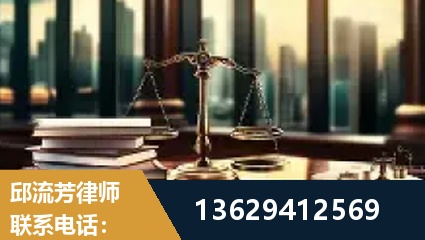 瑞丽-委托诉讼代理人出庭