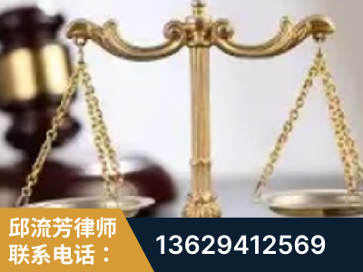 瑞丽-委托诉讼代理人出庭